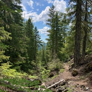 Meet your Posher, Michelle